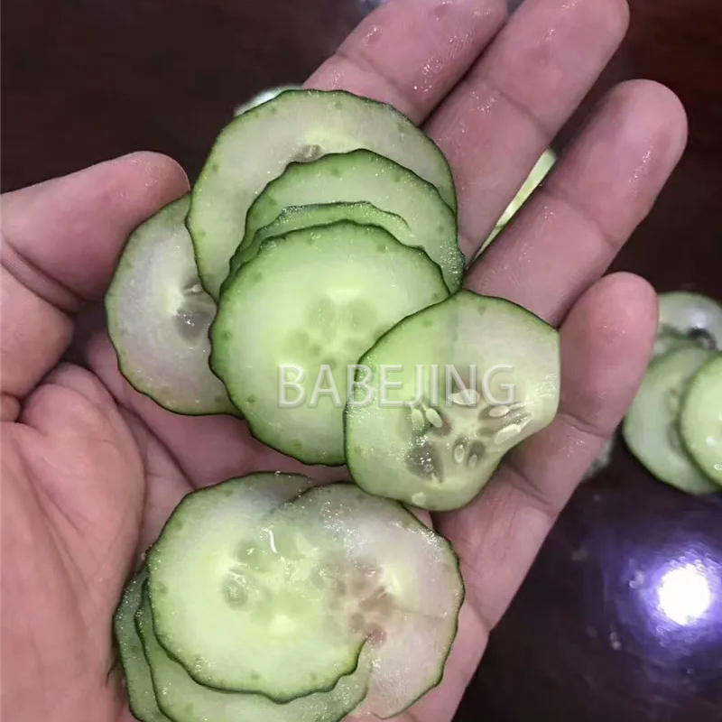 Electric Mini Scallion Chopper - Commercial Kitchen Appliance incelemesi ve fiyatı